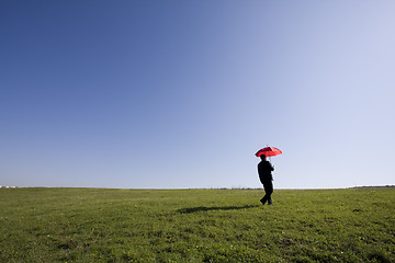 Image showing Insurance agent