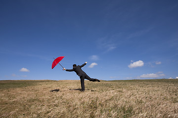 Image showing Insurance agent