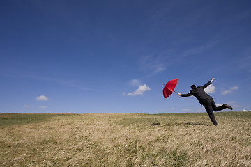 Image showing Insurance agent