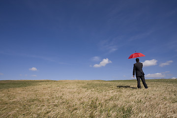 Image showing Insurance agent