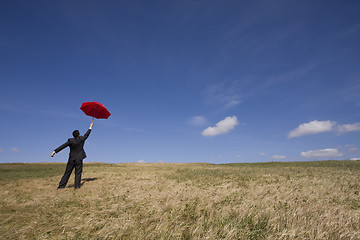 Image showing Insurance agent