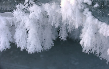 Image showing Fluffy Icicles