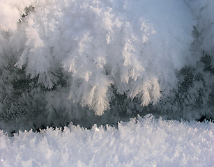 Image showing Fluffy Icicles