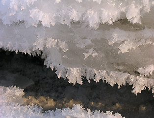 Image showing Fluffy Icicles