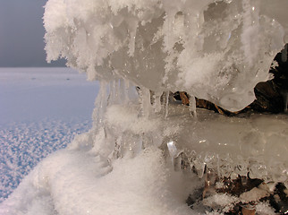 Image showing Fluffy Icicles