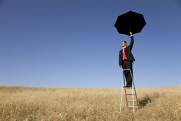 Image showing Insurance agent