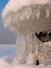 Image showing Fluffy Icicles