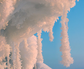 Image showing Fluffy Icicles