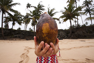 Image showing Coconut head