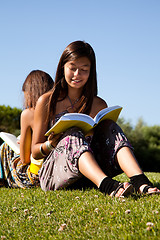 Image showing Reading at the park