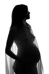 Image showing pregnant woman silhouette