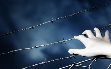 Image showing Barbed Wire and a hand