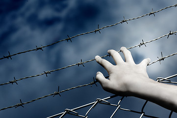 Image showing Barbed Wire and a hand