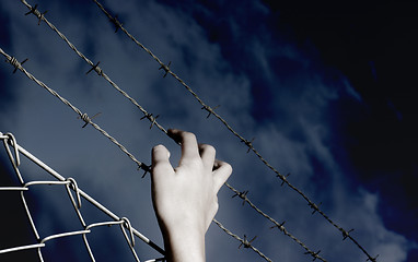 Image showing Barbed Wire and a hand