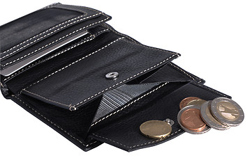 Image showing Wallet with Euro coins