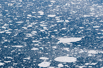 Image showing Ice sheets in the ocean