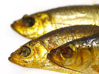 Image showing cured sprat