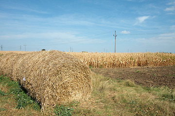 Image showing Agriculture