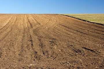 Image showing Agriculture