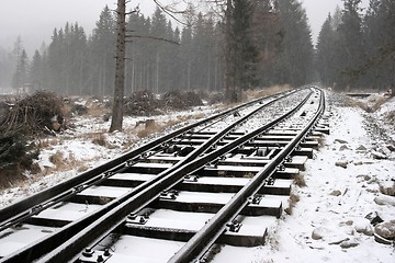 Image showing Snowy rails