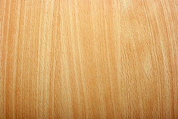 Image showing Wood Texture