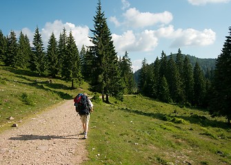 Image showing Hiking