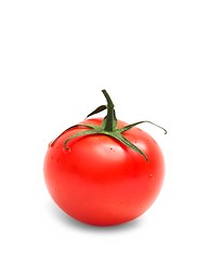 Image showing Tomato