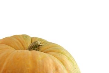 Image showing pumpkin 2