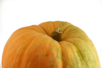 Image showing pumpkin 5