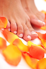 Image showing beautiful feet