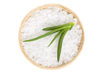 Image showing bath salt and aloe vera