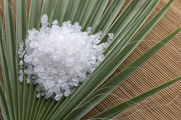 Image showing bath salt and palm leaf