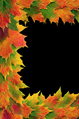 Image showing Autumn Leaf Frame