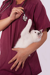 Image showing Vet with kitten