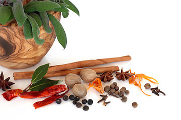 Image showing Spices and Herbs