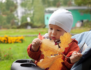 Image showing baby and autumn leafs