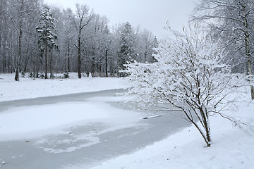 Image showing winter day