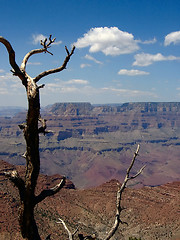 Image showing Grand Canyon