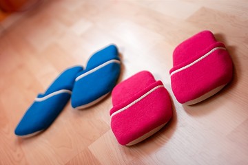 Image showing Slippers