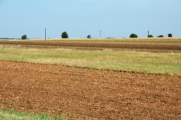 Image showing Field