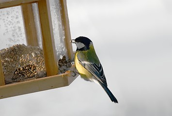 Image showing Bird Feeder