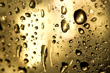 Image showing Droplets