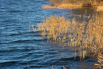 Image showing Water