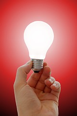 Image showing Bulb