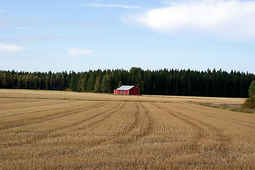 Image showing Harvested Grain Field