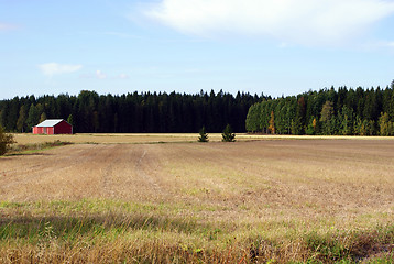 Image showing Autumn Field in Finland