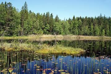 Image showing Calm Marshland Lake in Finland