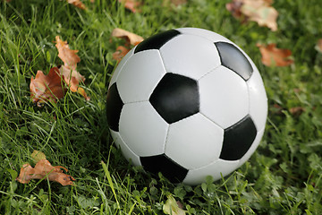 Image showing Soccer ball