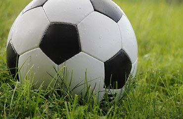 Image showing soccer ball on grass