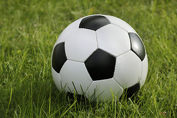 Image showing soccer ball on grass